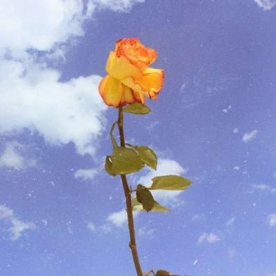 陆战雄狮满v版下载